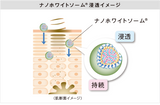 ナノホワイトセラム
